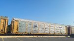 CSX B6084 (Body) TTGX 979010 (Flat)